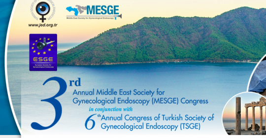 MESGE – 3º Annual Congress 8-12 Abril