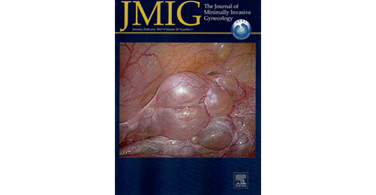 JMIG – Primeiro número com os novos editores