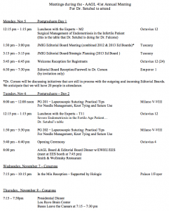 programa+AAGL+2012