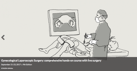 Universidade do Minho – Curso de Laparoscopia Ginecológica Setembro 2017